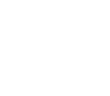 icon eco100